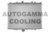 AUTOGAMMA 101348 Radiator, engine cooling